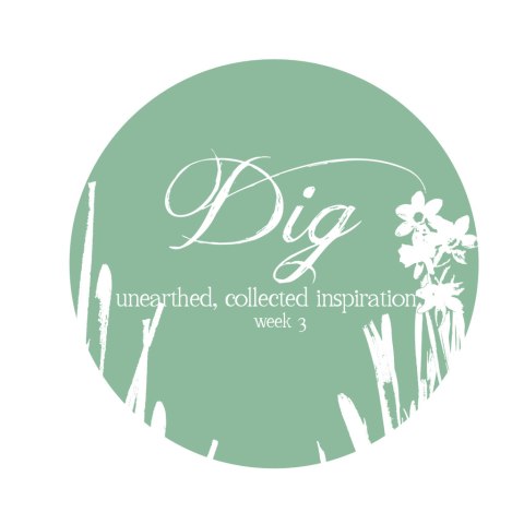 Dig | week 3