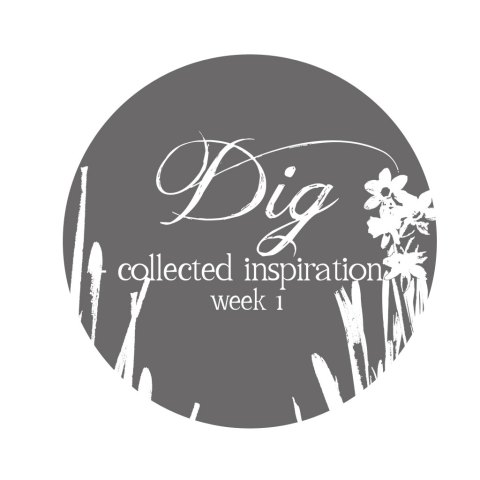 Dig | Collected Inspiration